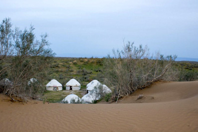 Yurts, Jurtenlager Safari