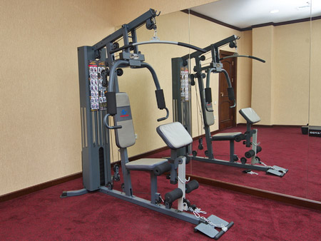 Impex powerhouse gs9 online home gym