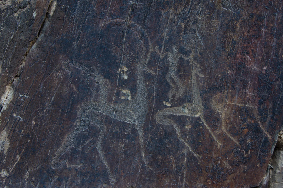 Petroglyphs in Uzbekistan