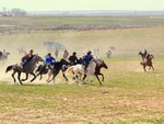  kupkari, Uzbekistan 