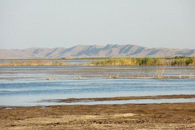 Lac Aydarkoul, Nourata, l`Ouzbékistan