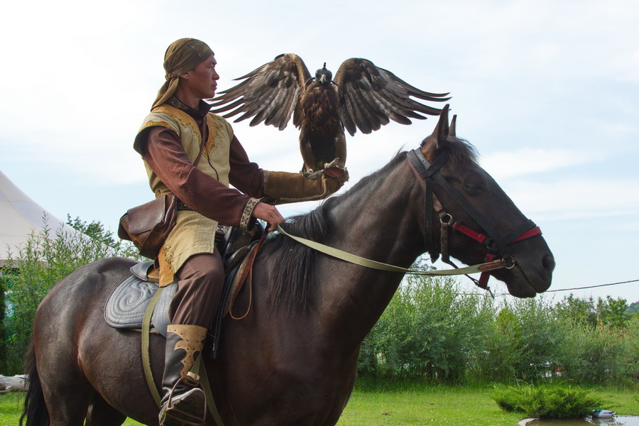 Sunkar Falcon Farm, Almaty vicinities