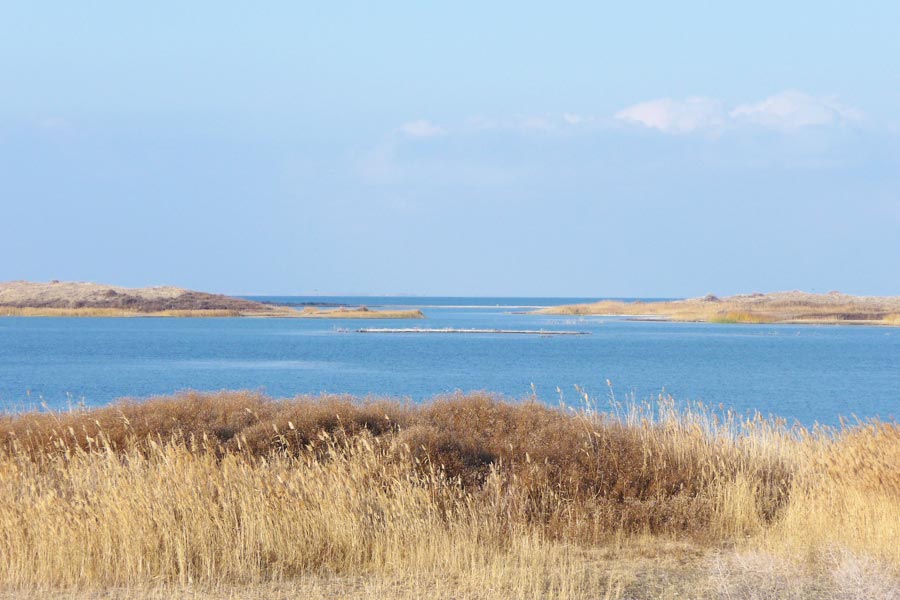 Lago Aydarkul