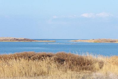 Aydarkul Lake